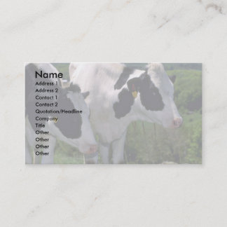Holstein-Milchvieh Visitenkarte