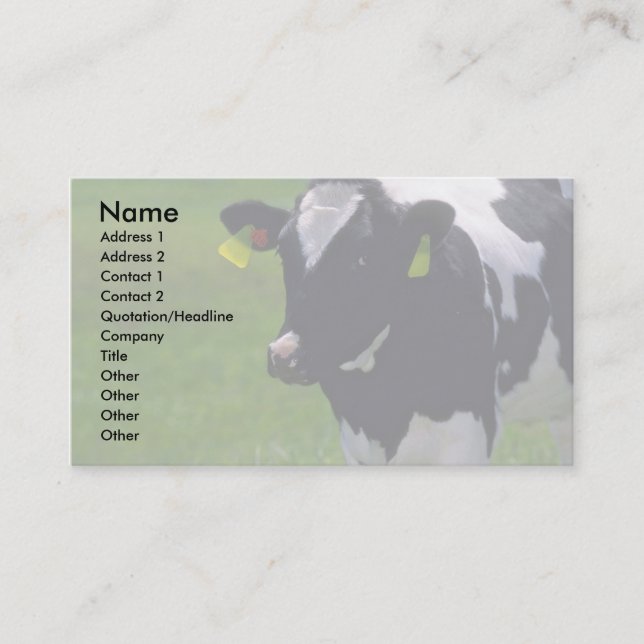 Holstein Milchvieh Visitenkarte (Vorderseite)