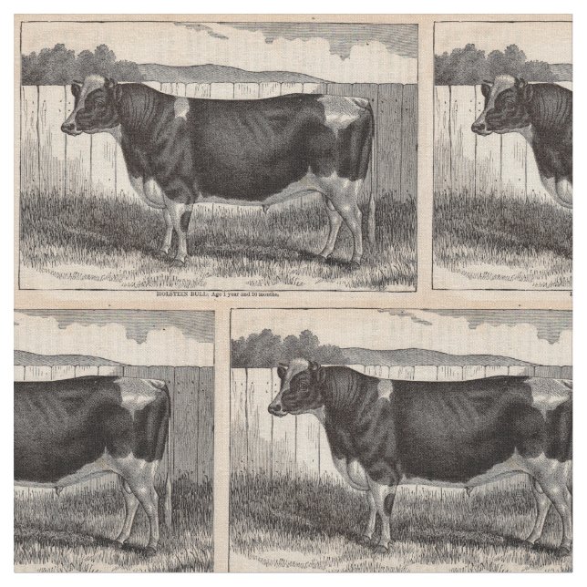Holsteinbulle aus dem 19. Jahrhundert Stoff (Nahaufnahme)