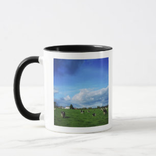 Holsteiner-Vieh nähert sich Thurles, Co Tasse