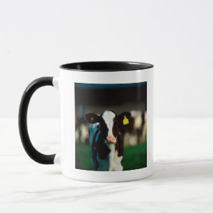 Holsteinerkalb Tasse