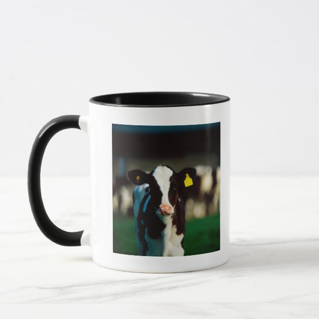 Holsteinerkalb Tasse (Links)