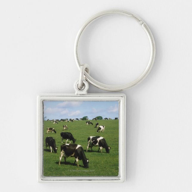 Holsteinervieh, Irland Schlüsselanhänger (Vorne)