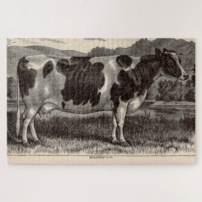 Holsteinkuh aus dem 19. Jahrhundert Puzzle (Horizontal)