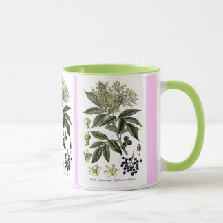 Holunderbeersambucus-Tasse Tasse