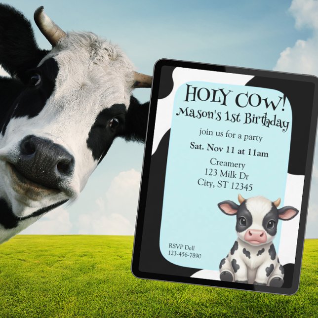 Holy Cow, blue, cow 1st Birthday Einladung (Von Creator hochgeladen)