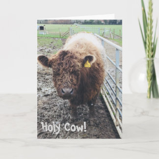 Holy Cow Card Karte