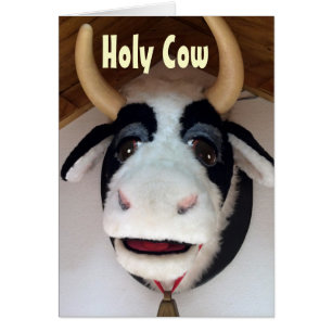 HOLY COW DU BIST 40? WIE?