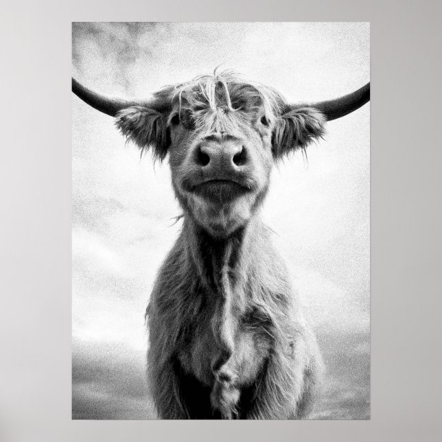 Holy Cow Mesotint Art Fotografy Poster (Vorne)