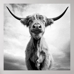 Holy Cow! Poster