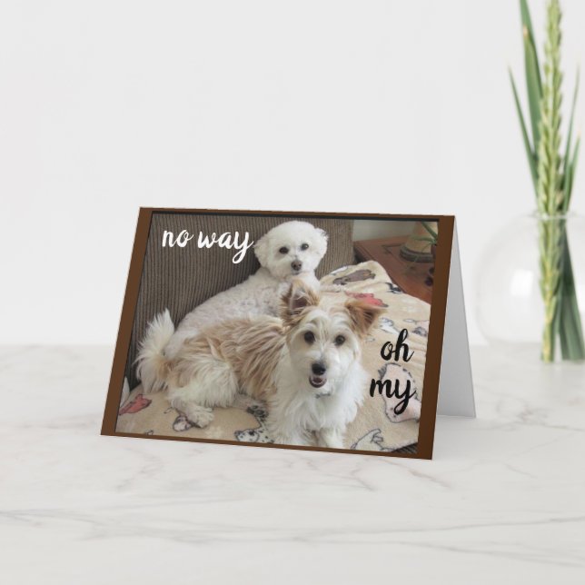 HOLY COW SAGT DIE PÖPS "SIE WERDEN 60" KARTE (Vorderseite)