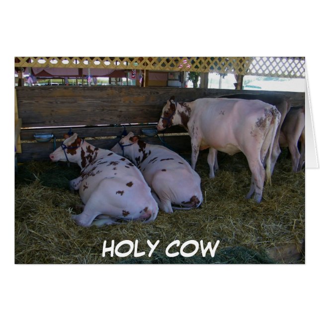 HOLY COW U WURDE NUR 50 (Vorderseite (Horizontal))