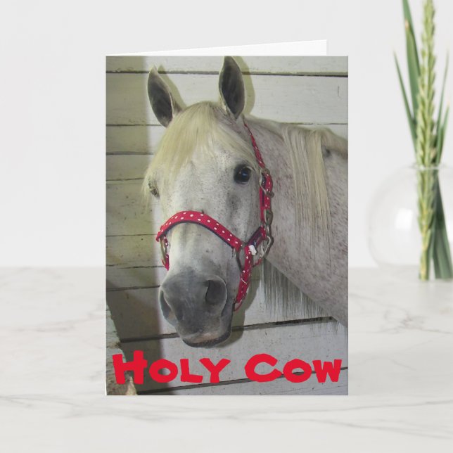 HOLY COW YOUNG FILLY **50. GEBURTSTAG** KARTE (Vorderseite)