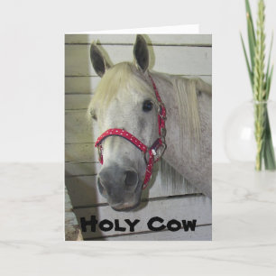 HOLY COW YOUNG FILLY ***HAPPY BIRTHDAY*** KARTE