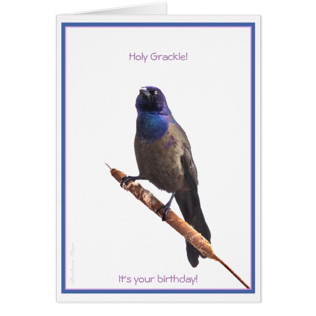 Holy Grackle! It's your Birthday: (Vorne)