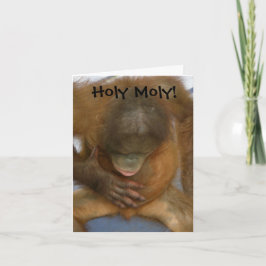 Holy Moly Funny Vasectomy Karte