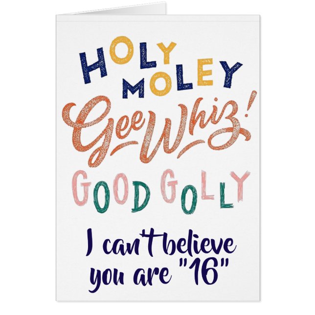 HOLY MOLY & GOOD GULLY SIE SIND ****16***** (Vorne)