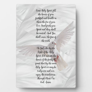 Holy Spirit Inspirational Plaque Fotoplatte