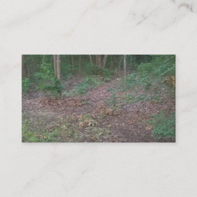 Holz-Baum- des Waldesnatur-Grün-Visitenkarten Visitenkarte (Vorderseite)
