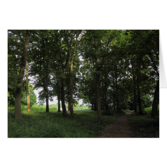 Holz, Bute Park Cardiff (Vorderseite (Horizontal))