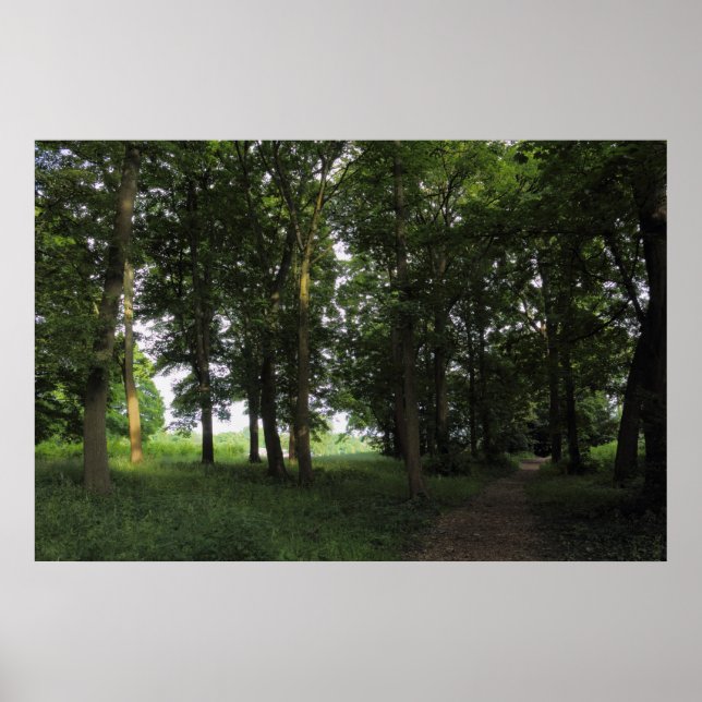 Holz, Bute Park Cardiff Poster (Vorne)