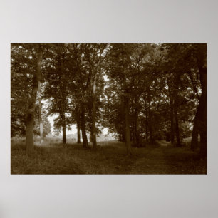 Holz, Bute Park Cardiff - Sepia toned BW Poster