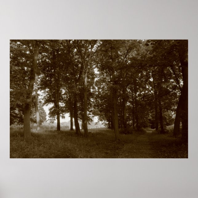 Holz, Bute Park Cardiff - Sepia toned BW Poster (Vorne)