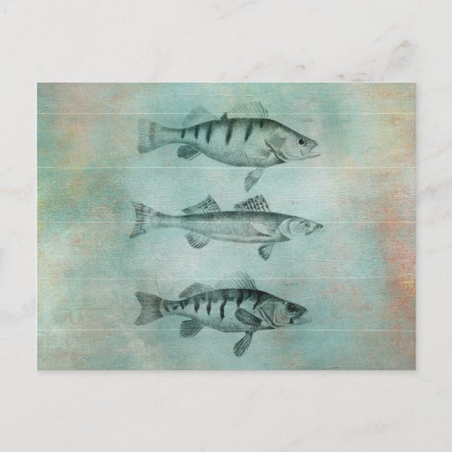 Holz Texturierte Look Fische Design Postkarte (Vorderseite)