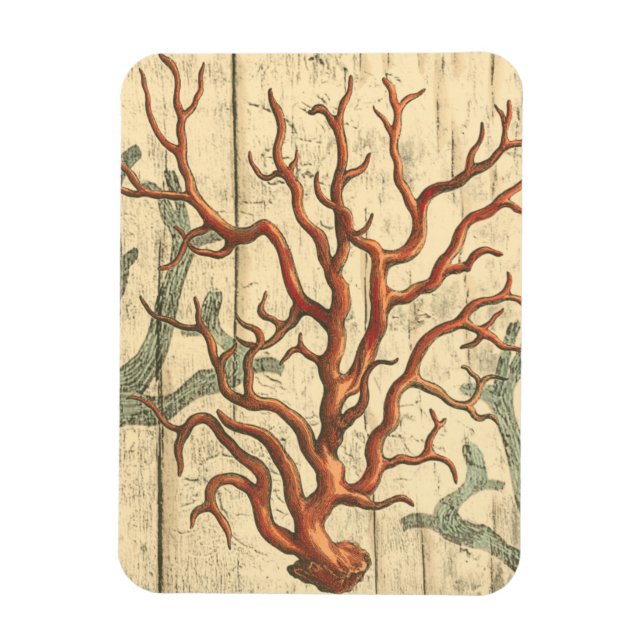 Holz und kleine Korallen Magnet (Vertikal)