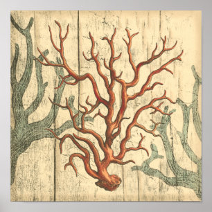 Holz und kleine Korallen Poster