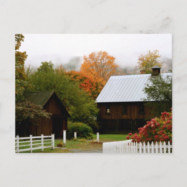 Holz, VT Postkarte (Vorderseite)