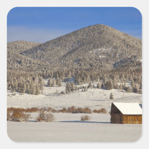 Holzbarn steht im Schnee in der Nähe von Boulder Quadratischer Aufkleber