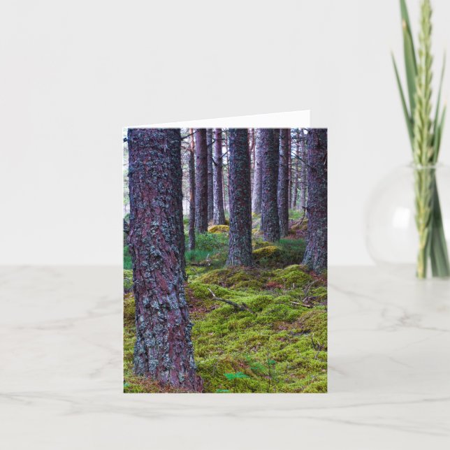 Holzbäume Grußkarte Karte (Vorderseite)