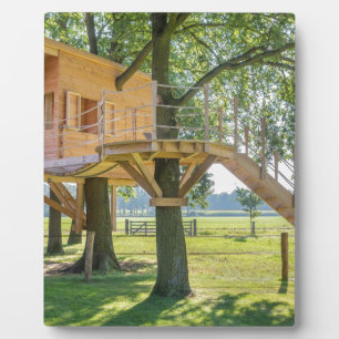 Holzbaumhaus aus Eichenholz mit Gras Fotoplatte