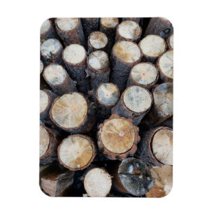 Holzbaumholz Holz Original Naturfoto Magnet