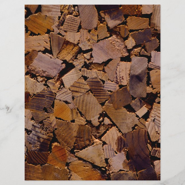 Holzbaumholz rustikales Holzbaumholzmuster (Vorderseite)