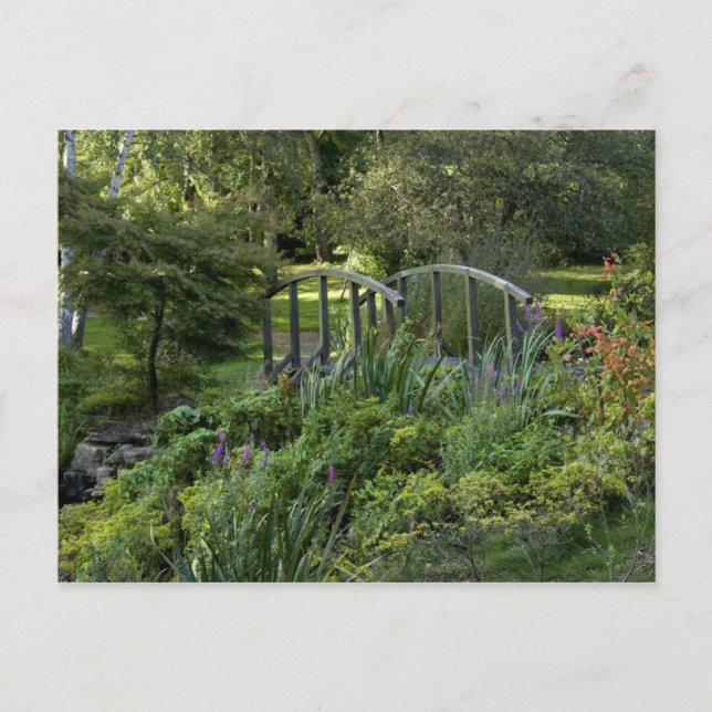 Holzbrücke Postkarte (Vorderseite)