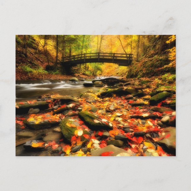 Holzbrücke und Bach im Herbst Postkarte (Vorderseite)