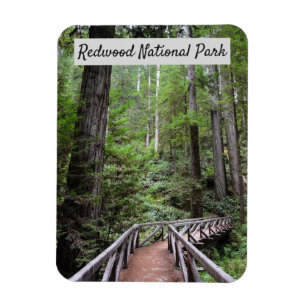 Holzbrücke und Sequoias   Redwood National Park Magnet