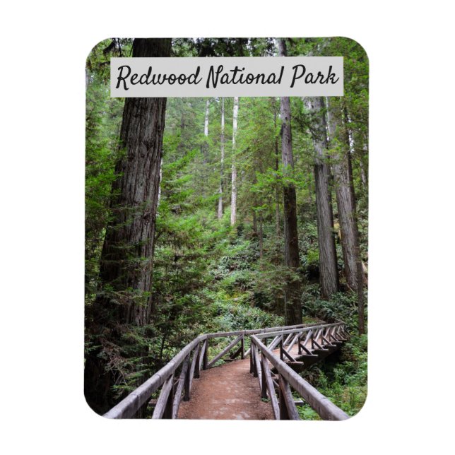 Holzbrücke und Sequoias | Redwood National Park Magnet (Vertikal)