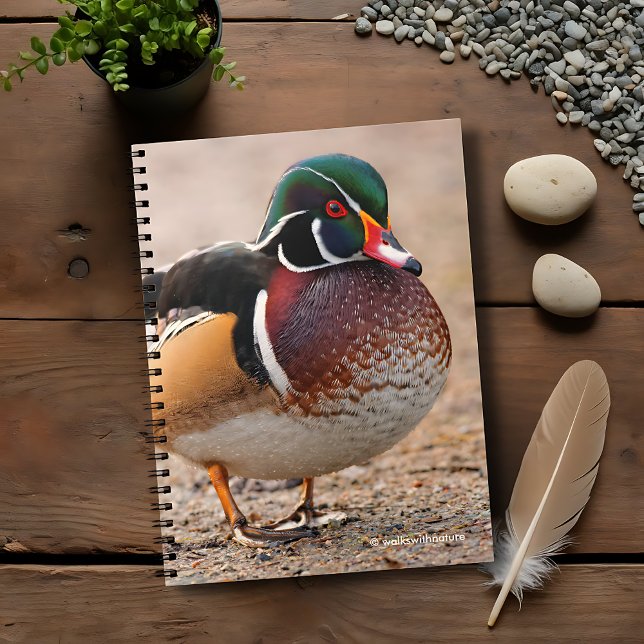 Holzente auf Kies Notizblock (Wood Duck on Gravel Journal Cover Photo)