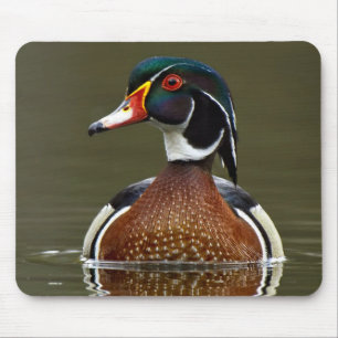 Holzente auf Wasser Mousepad
