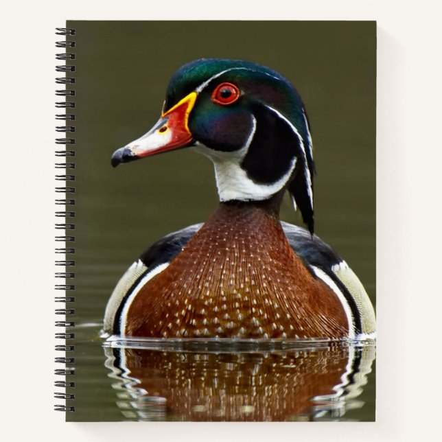 Holzente auf Wasser Notizbuch (Vorderseite)
