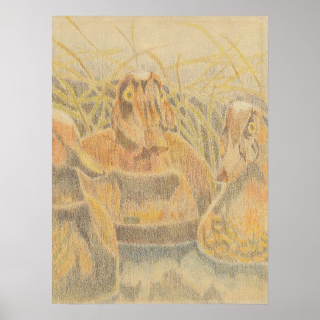 Holzente Decoys auf Teich Poster (Vorne)