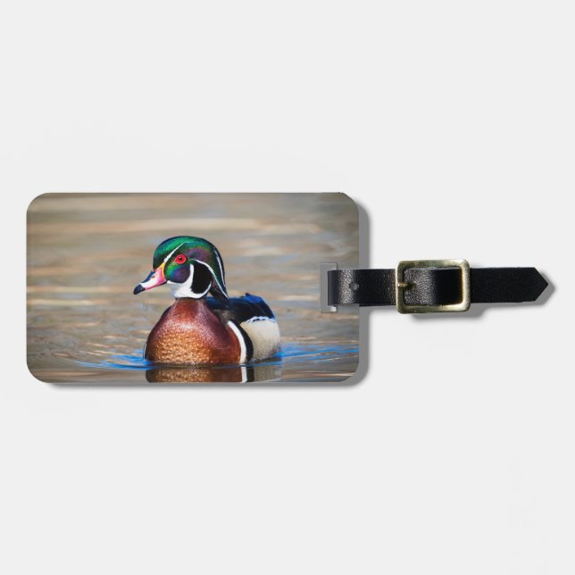 Holzente in einem Teich Gepäckanhänger (Vorderseite horizontal)