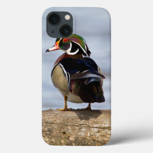 Holzente Männchen auf Baumstamm im Feuchtgebiet Case-Mate iPhone Hülle