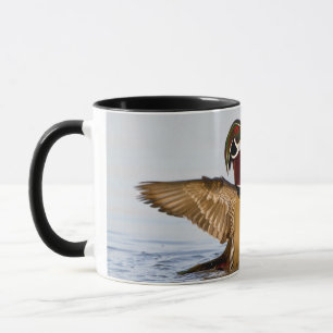 Holzente Männchen schlägt mit den Flügeln im Feuch Tasse