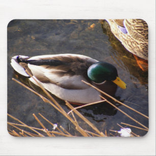 Holzente-Maus-Pad Mousepad