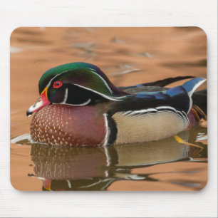 Holzente schwimmt im Wasser Mousepad
