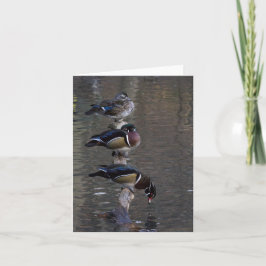 Holzenten auf Zweig Karte